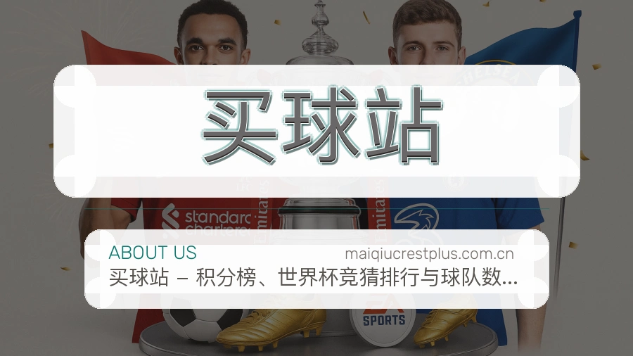 买球站服务入口整理说明